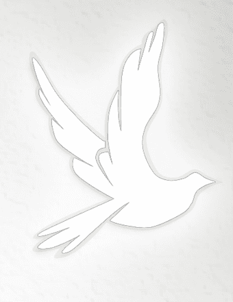 Robert  Joseph Forrest Obituary